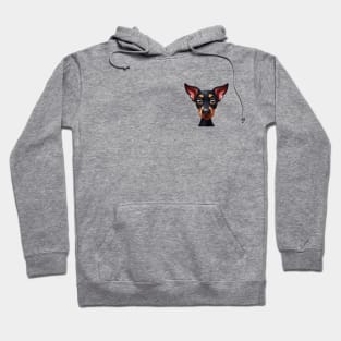 Small Version - Charming Doberman Portrait Hoodie